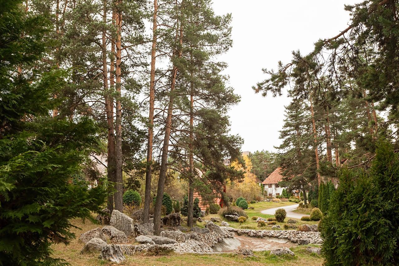 Goldpine Apartments Zlatibor Exterior photo